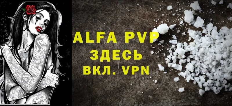 Alfa_PVP СК Махачкала